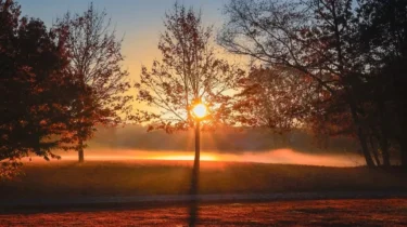 Yeni Bir Dil Öğrenmeye Başlamak İçin Kullanılabilecek En Kolay ve Etkili Yöntemler