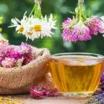 Detoks Nedir, Ne Değildir? Mitler ve Gerçekler