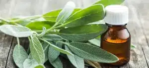 Adaçayı Nasıl Kullanılır? (Çay, Yağ, Gargara ve Ekstrakt)