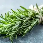 Biberiye (Rosmarinus officinalis) Nedir? Faydaları, Kullanımı ve Uyarılar