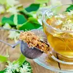 Ihlamur (Tilia spp.) Nedir? Faydaları, Kullanımı ve Uyarılar